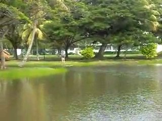 Rc Boat @ KBS Funfly