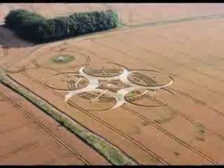 Crop Cercles.uk.25.07.2010