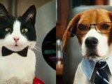 Kediler ve Köpekler: Cats and Dogs 2010 Fragman Trailer