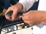 Canlı Yem İle Balık Avı İçin, Canlı Yemi Takma Teknikleri 2