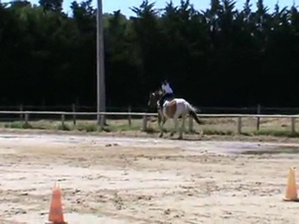 cour d'equitation l'an dernier !!