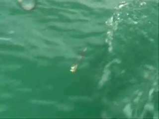 Canlı Yem İle Balık Avı İçin, Canlı Yemi Takma Teknikleri üçüncü bölüm