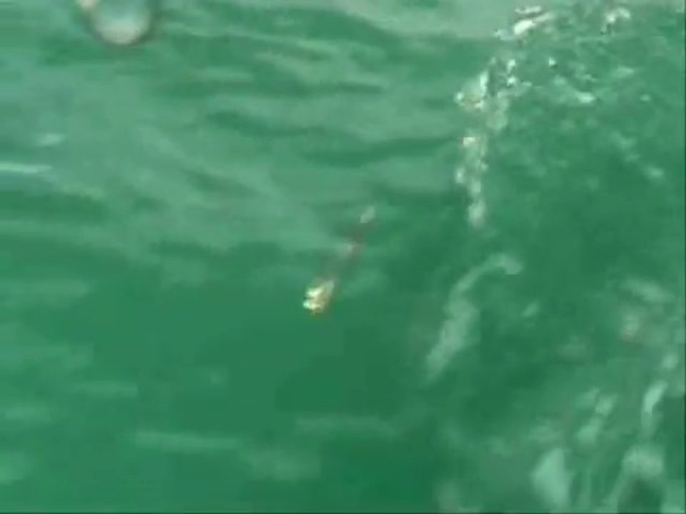 Canlı Yem İle Balık Avı İçin, Canlı Yemi Takma Teknikleri üçüncü bölüm