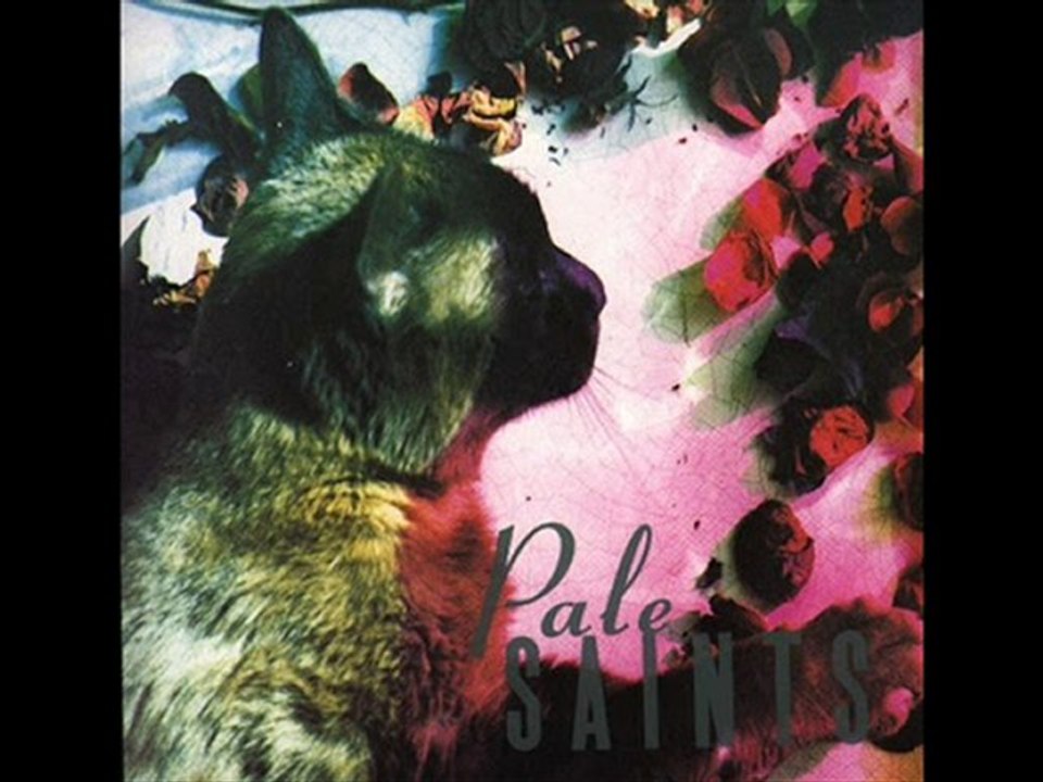 Pale Saints - you tear the world in two