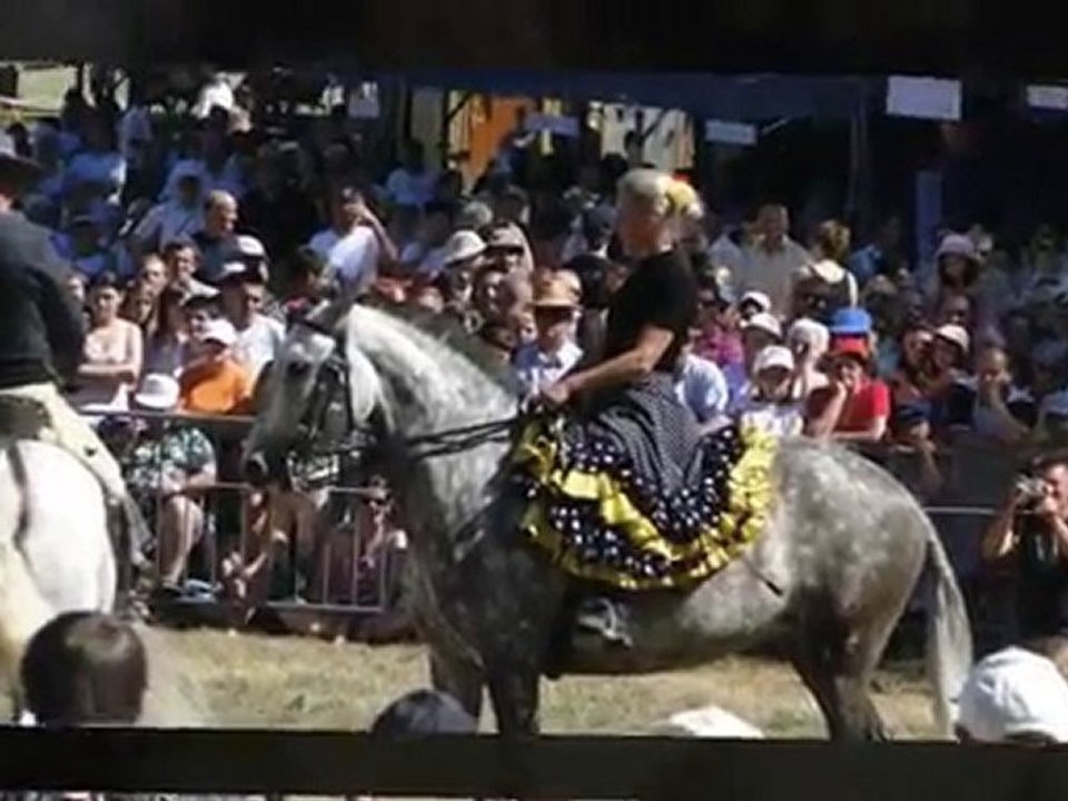 Les montures Andalouses