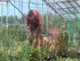 Warwick Nursery - Garden Centres & Nurseries in Brighton