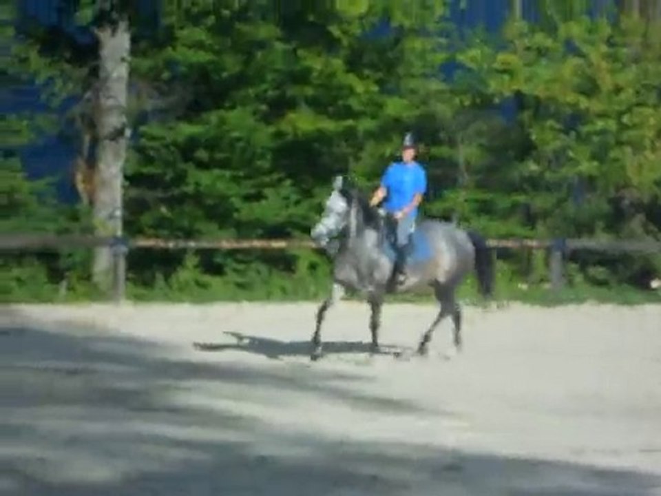 galop Dorothée et Shadow