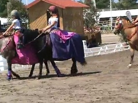 Carrousel Gipsy Ladies - coupe C - Lamotte 2010