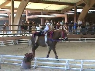 Voltige bohemiennes - Coupe D - Lamotte 2010