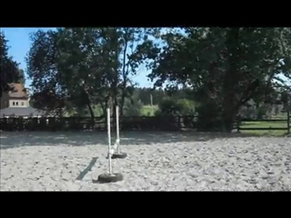 Parcour avec ma belle R.Queen Ferrari