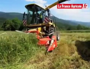 Récolte des céréales immatures : le bec Kemper Champion 450