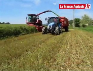Récolte des céréales immatures : Holland DC 510