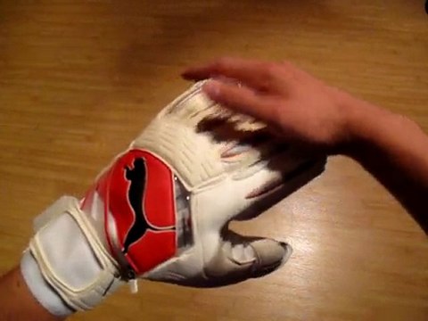 Gants Puma Powercat Super Protec 2010 | Univers du gardien