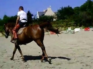 Ecuries du Nevez RAS 3