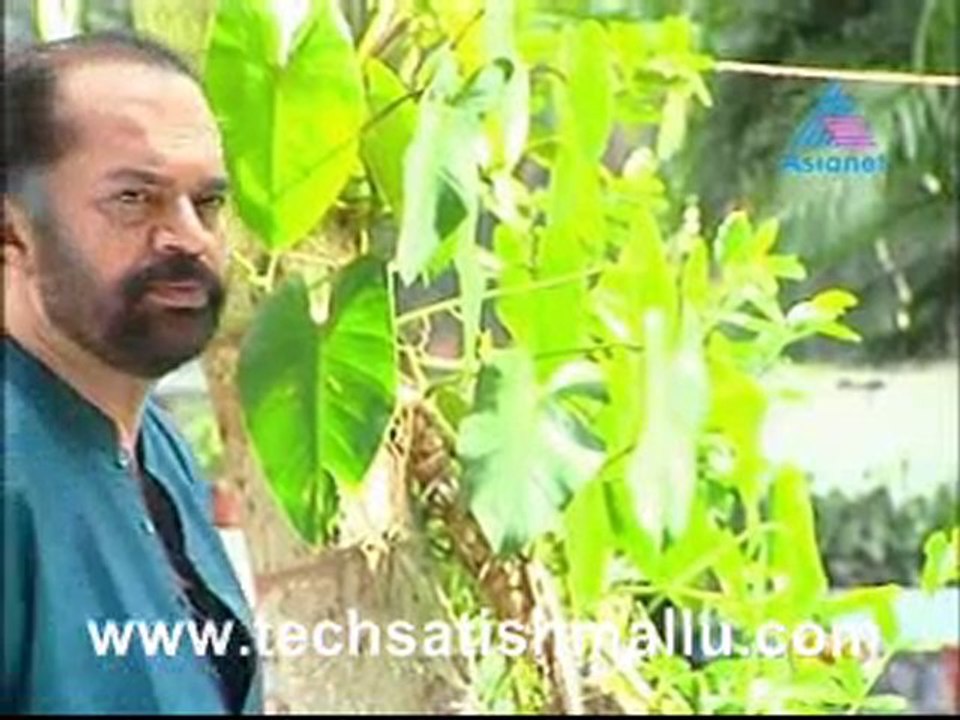 Paar