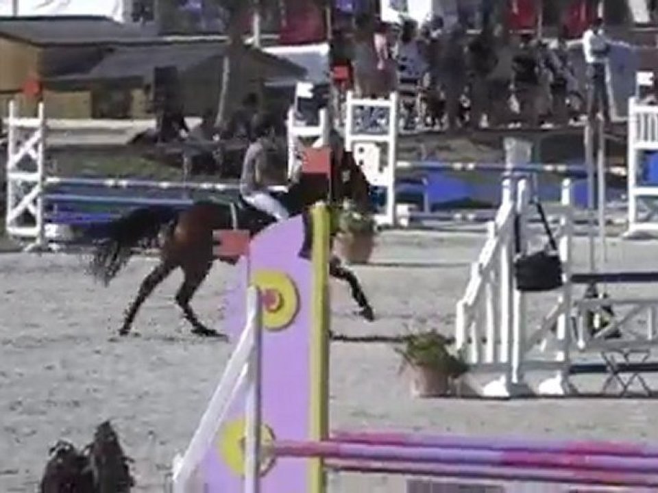 Lamotte 2010 . Quelle  W. & Camille R.