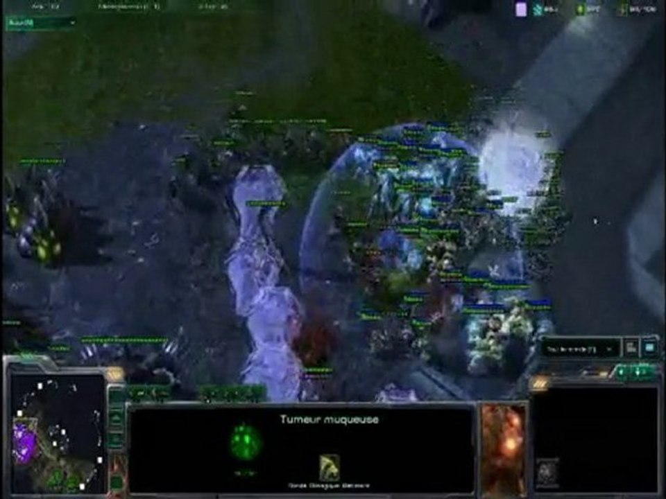 NGTV pub py umi