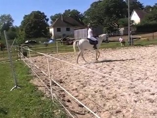 reprise de dressage du galop7: moi et Mamzelle