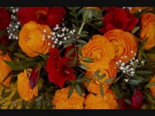 Women of Spirit and Faith: Struggles with Articulation