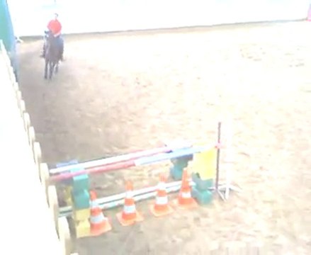 jonquille 1m25 devant..