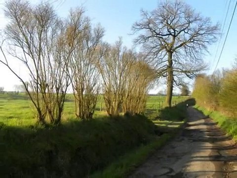 Diaporama de l'année 2010 - 12ème partie