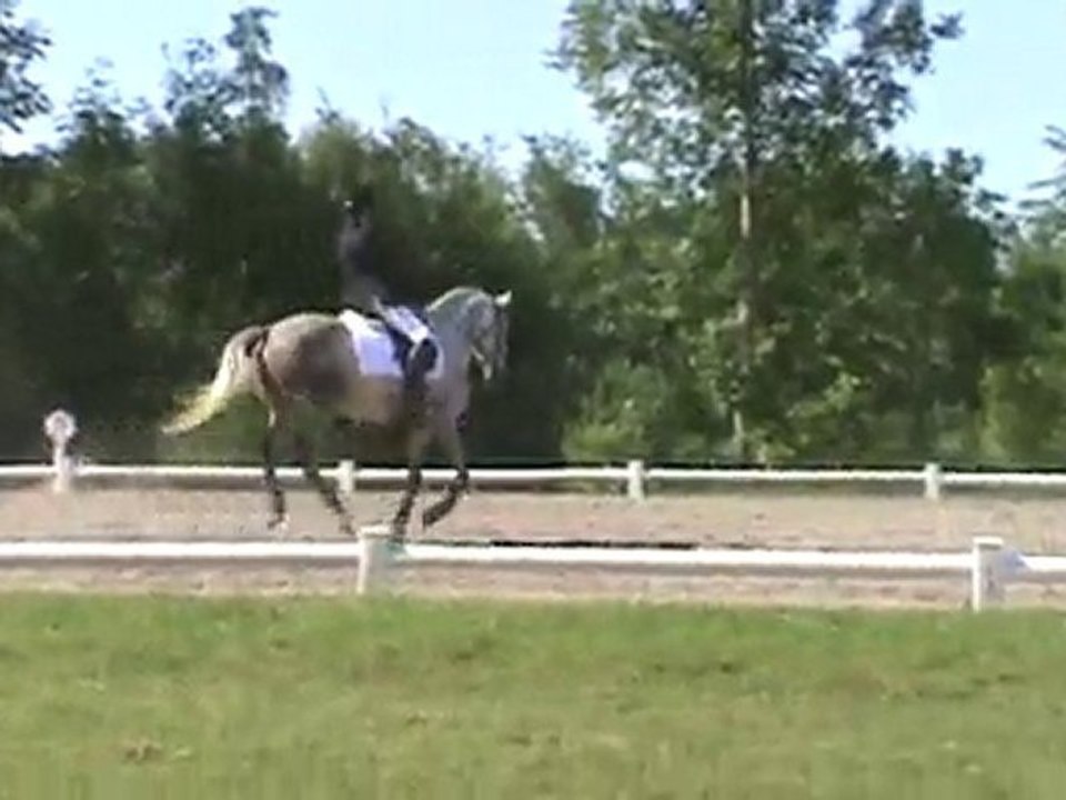 20100703091551