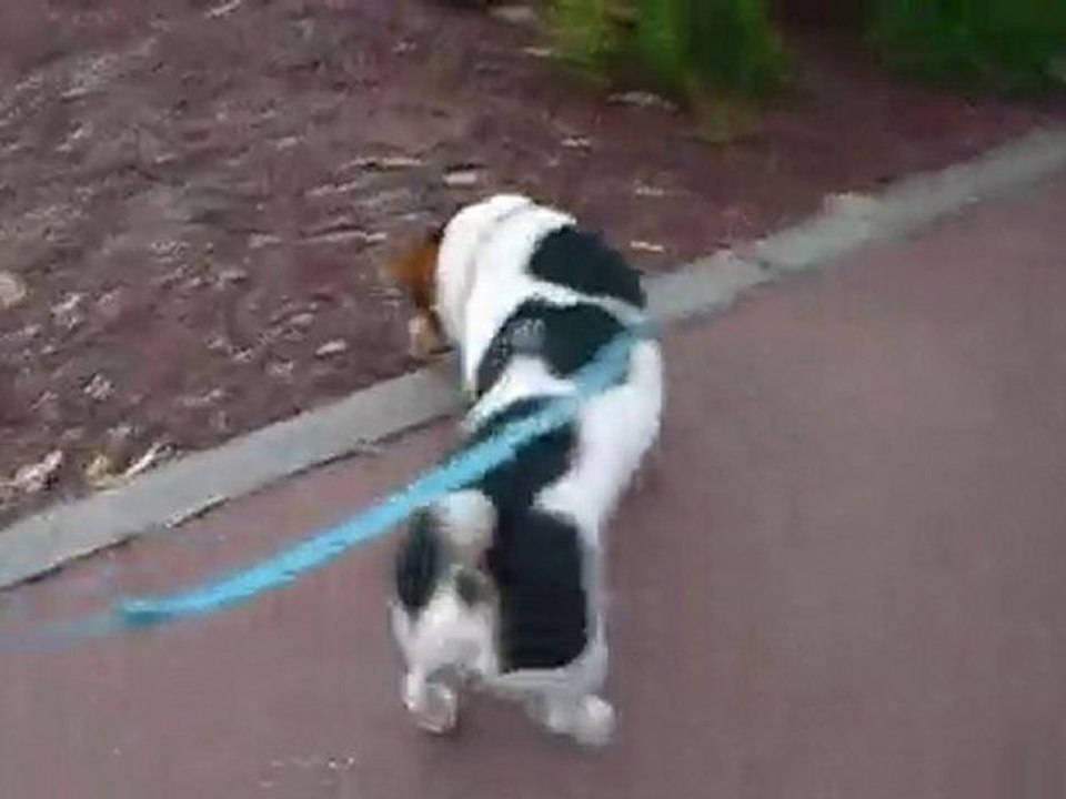 Promenade: 1ère Partie