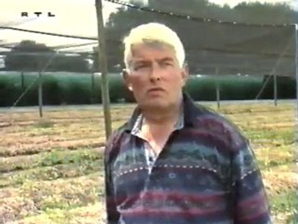 FloraFarm Ginseng auf TV RTL am Sep 1995