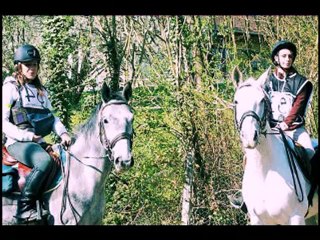 TREC 2010