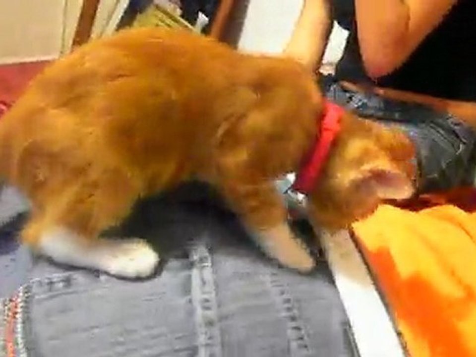 squishyy