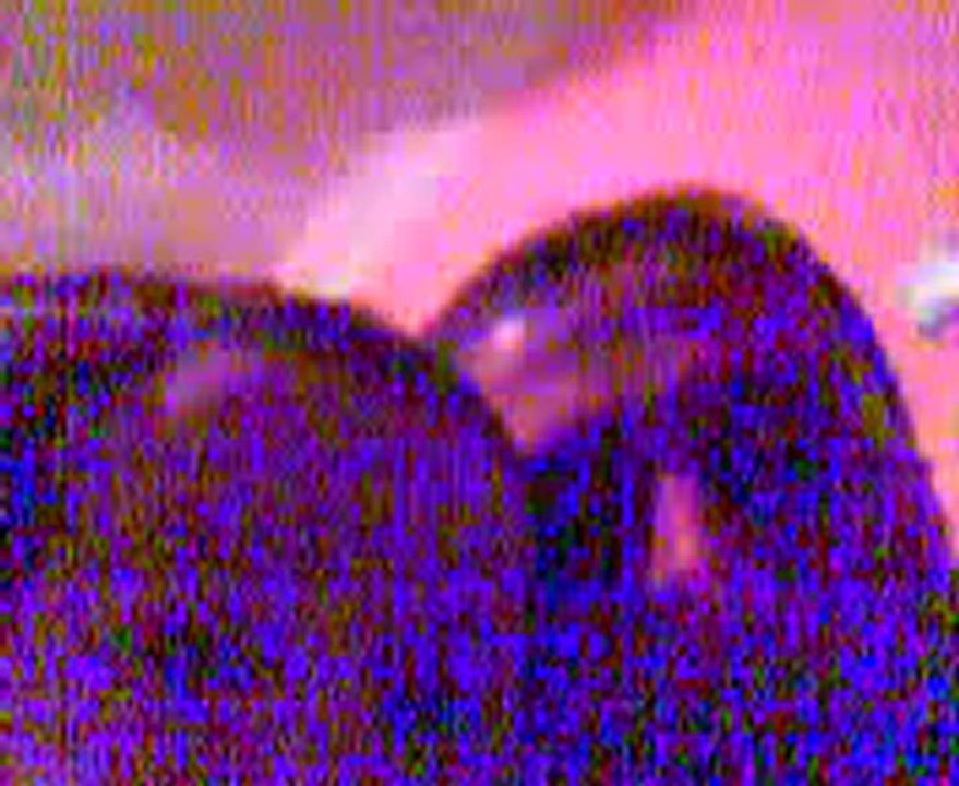 06042010317