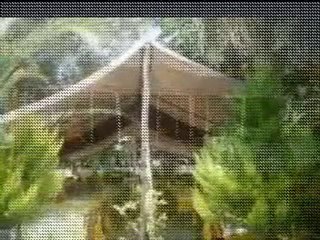 Sevdamız YÖRÜK SEVDASI-Yetkin Karakaya Söz: İrfan Çelik / ww
