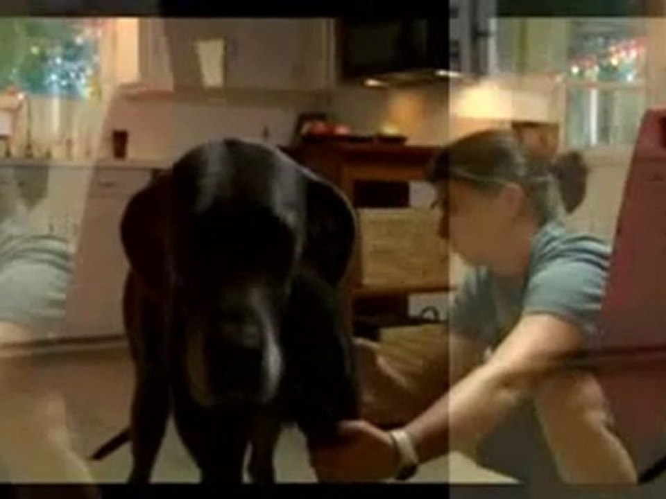 How To Get Rid Of Fleas Using Natural Flea Control