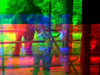 pattaya photo  voyage