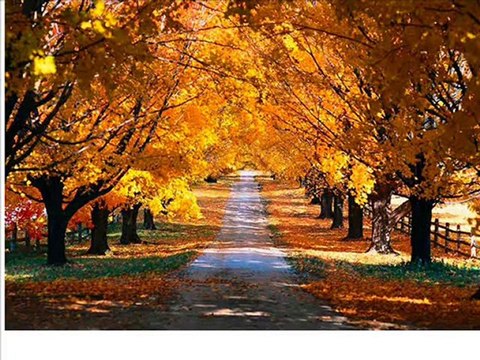 Güzel Bir Göz Beni Attı Derin Bir Sevdaya