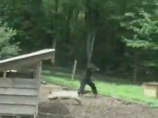 El Show de Uribe Lo que quiso decir uno de sus payasos en la