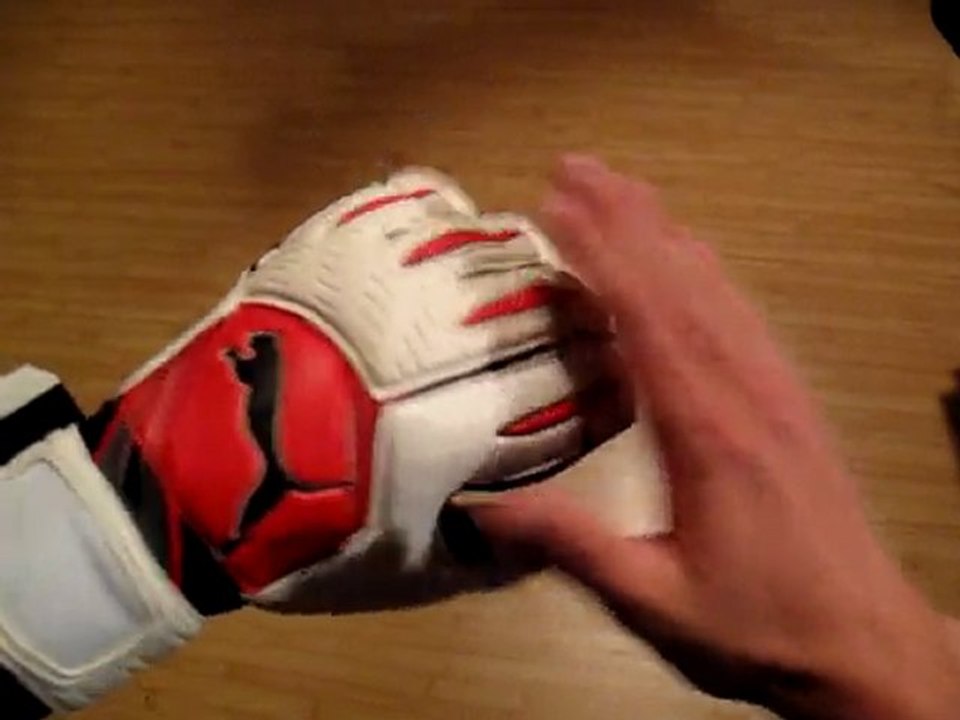Gants Puma Powercat 1.10 GRIP 2010 | Univers du gardien