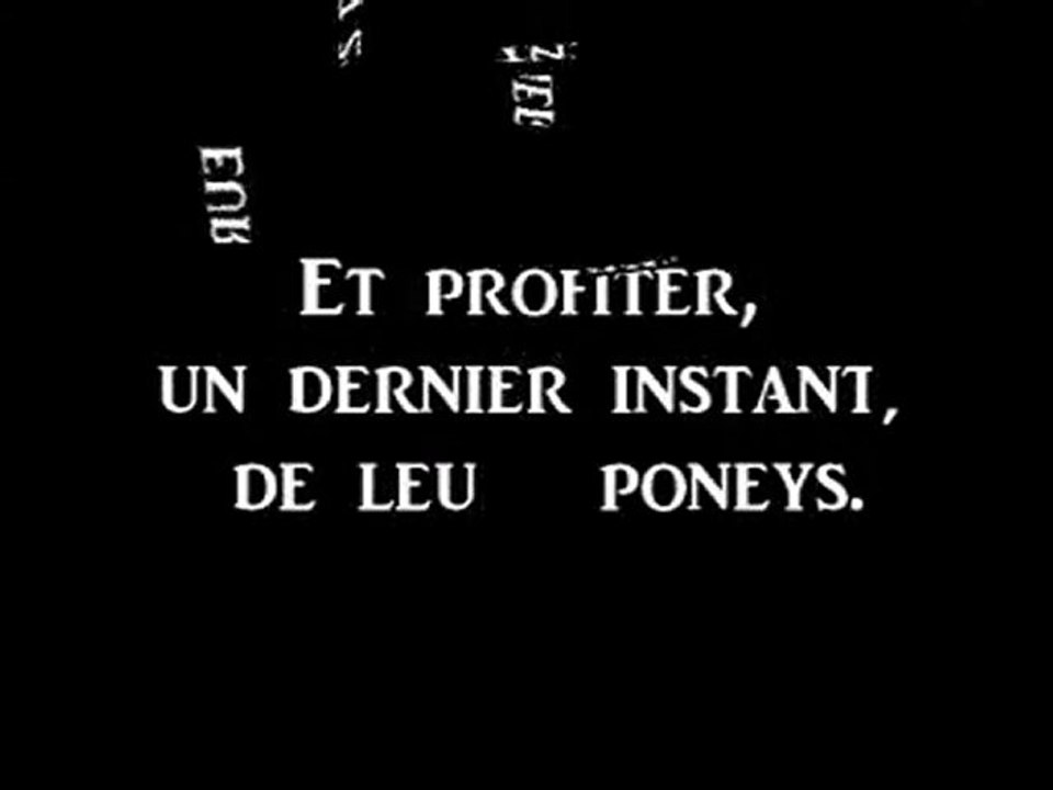 Lamotte 2010 Bubble gum Cadet 1