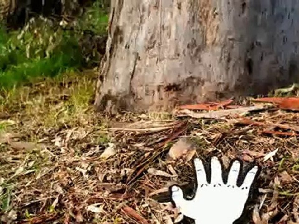 The Magical Classroom