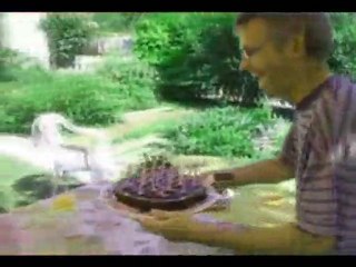 Happy Birthday Max !