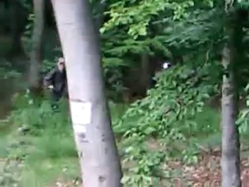 airsoft