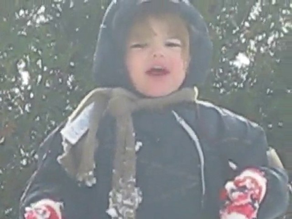 le jardin sous la neige