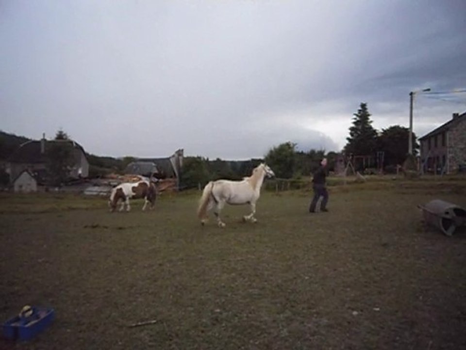 23.07.2010