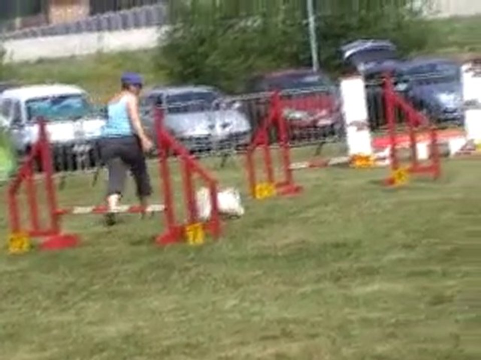 03 07 2010 agility Liège 03 Domi