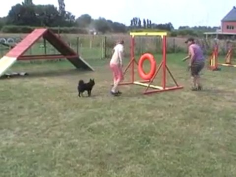 26 06 2010 entrainement agility Belgique + Vali et le tunnel