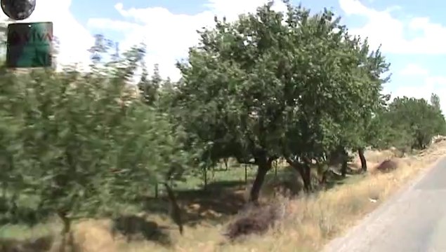 Erzincan Ve Yol Sahası Doğal Alanları