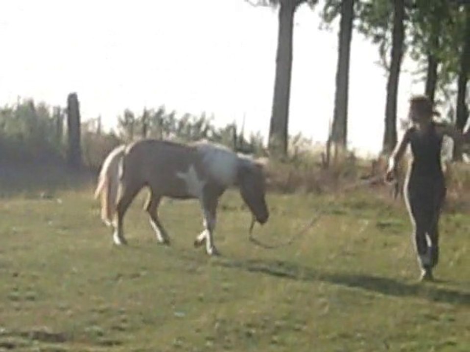 Cara5Juillet2010