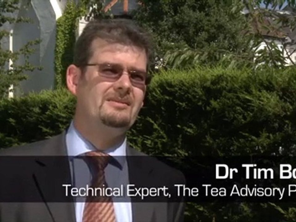Tea is equal to water when it comes to hydration
