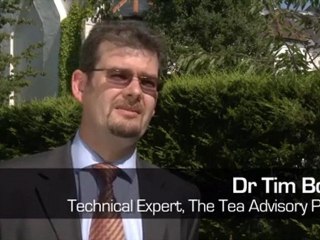 Tea is equal to water when it comes to hydration