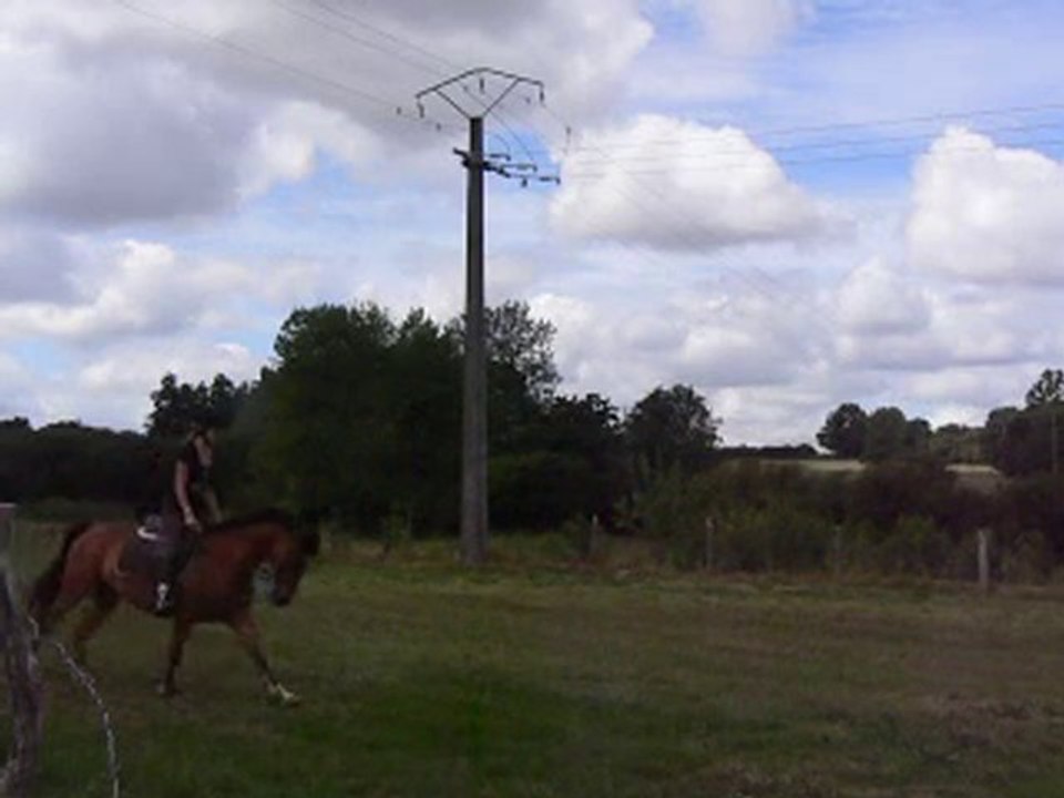 Séance du 21 et du 27 juillet